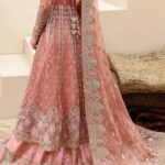Pakistani Luxury Organza Anarkali